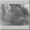 bw03.html