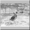 bw07.html